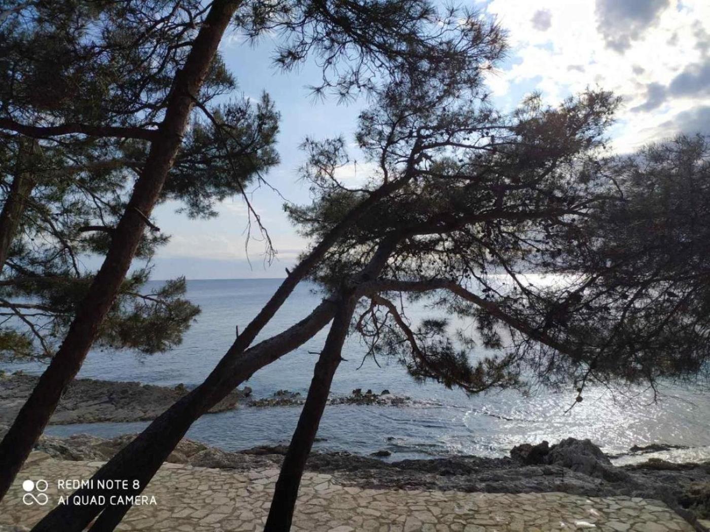 Apartments Mali Losinj Mali Lošinj Exterior foto